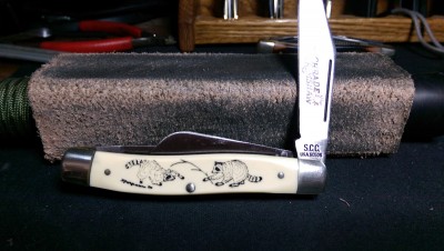 IMAG2707.jpg