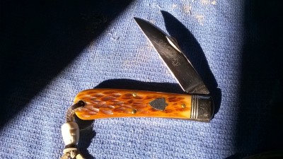 WP_20180311_002.jpg
