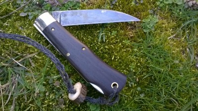 WP_20180315_080.jpg