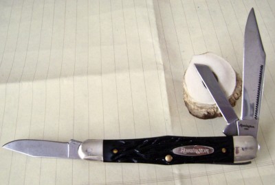 Remington R14.JPG