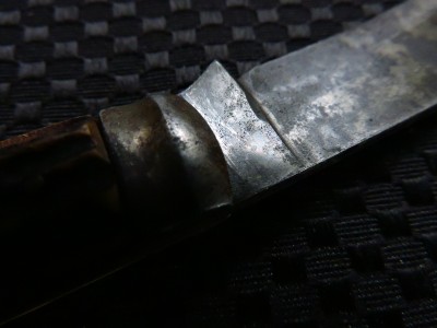 DSCN9391.JPG