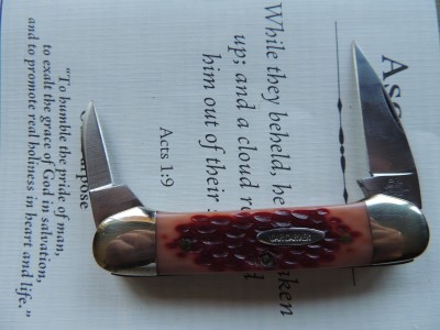 DSCN4130.JPG