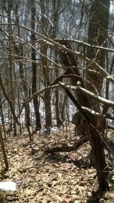 WP_20180324_014.jpg