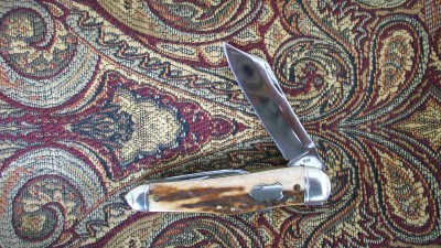 Hayes copy of Rem.Humpback 001.JPG