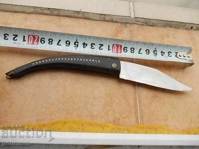 сойка3.jpg