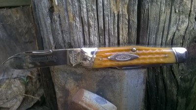 WP_20180312_016.jpg