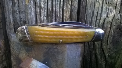 WP_20180312_022.jpg