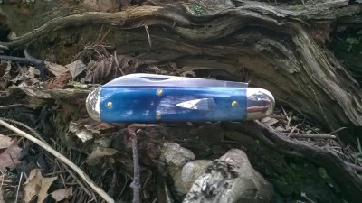 WP_20180324_030.jpg
