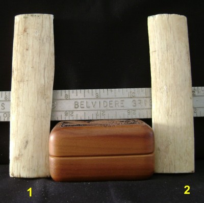 Giraffe Bone 2.JPG