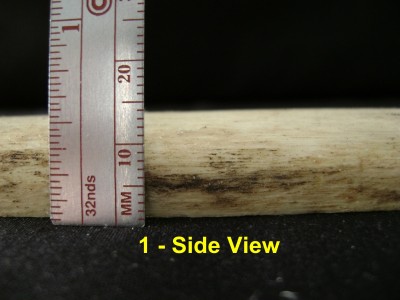 Giraffe Bone 3.JPG