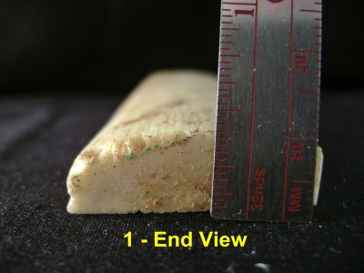 Giraffe Bone 4.JPG