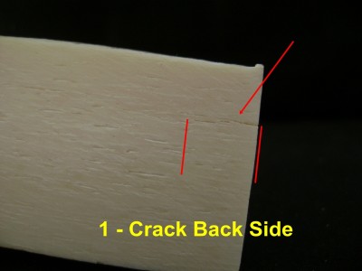 Giraffe Bone 6.JPG