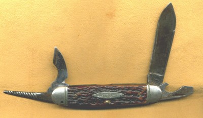 img891.jpg