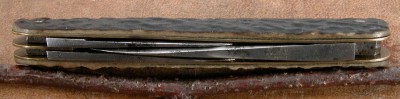 Blades Closed - Spines DSCN3398.JPG