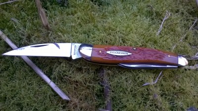 WP_20180319_045.jpg