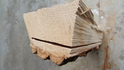 20180217_130422.jpg