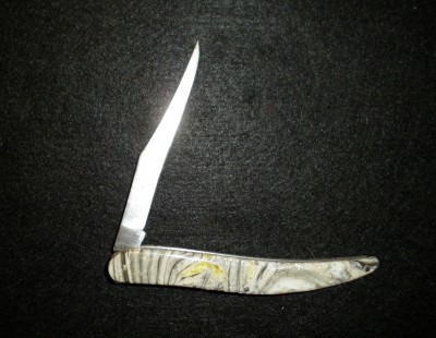 SANY0003.JPG