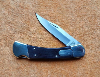 buck 110 auto.jpg