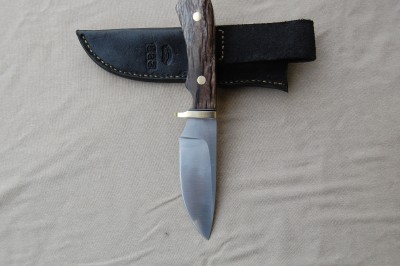 dan papik 533 004.JPG