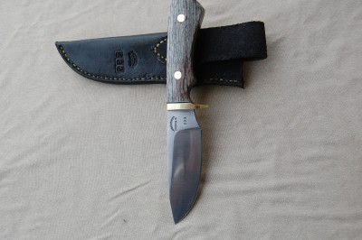 dan papik 533 005.JPG