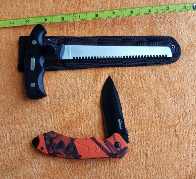 remington&OTsaw.jpg