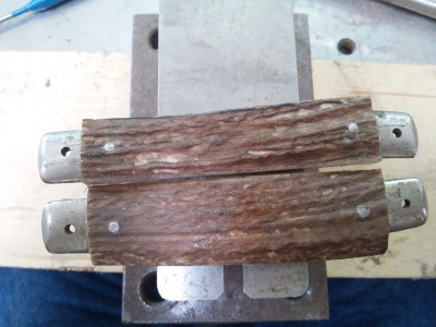 20180407_105802.jpg