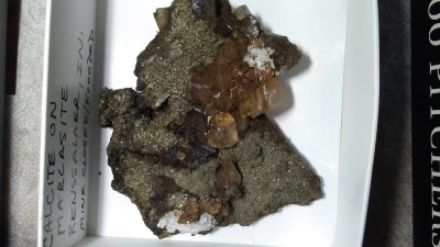 20180409_101657.jpg