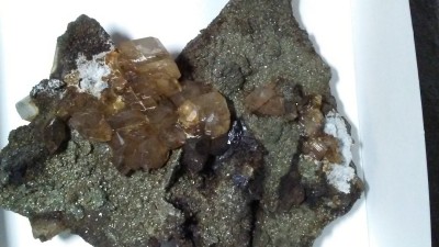 20180409_101603.jpg