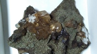 20180409_101538.jpg