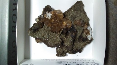 20180409_101437.jpg