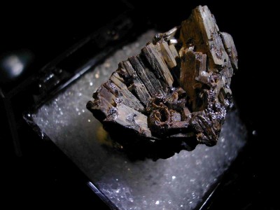 DSCN4412.jpg