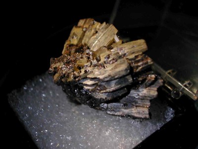DSCN4417.jpg
