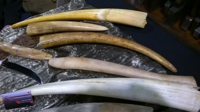 WP_20180407_014.jpg