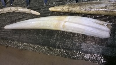 WP_20180407_015.jpg