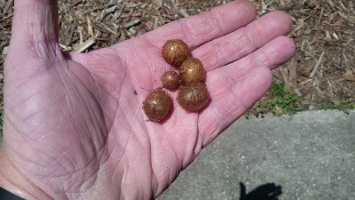 20180411_130121.jpg