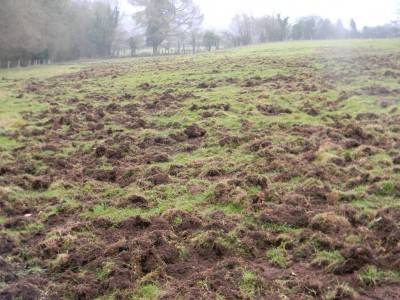 Pasture damage