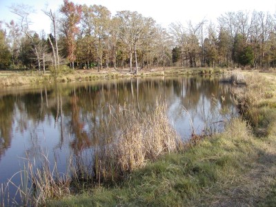 Cordell-Lake.jpg
