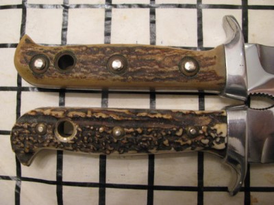 Stag063.jpg