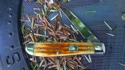 WP_20180423_001.jpg