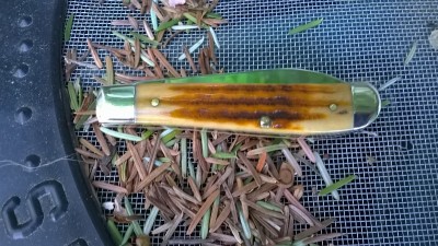 WP_20180423_010.jpg