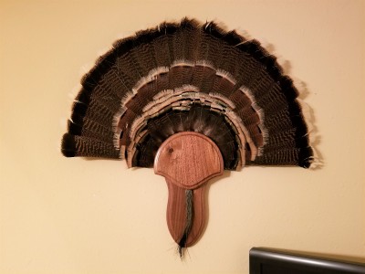 Turkey Mount - April 2018.jpg