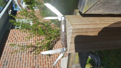 20180428_083302.jpg