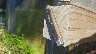 20180428_083536.jpg