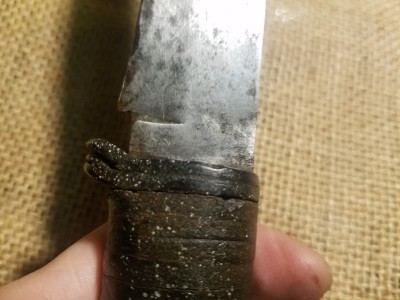 20180419_052357.jpg