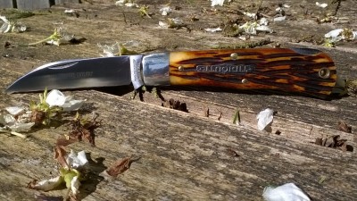 WP_20180502_005.jpg