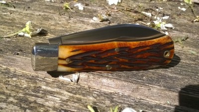 WP_20180502_011.jpg