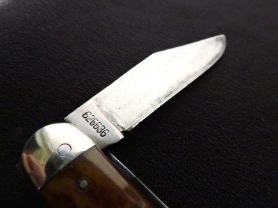 DSCN0420.JPG