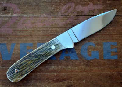 CS DP Moose_381.JPG