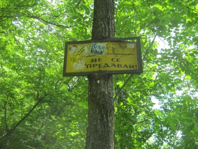 IMG_5386.JPG