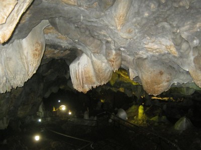 IMG_5389.JPG